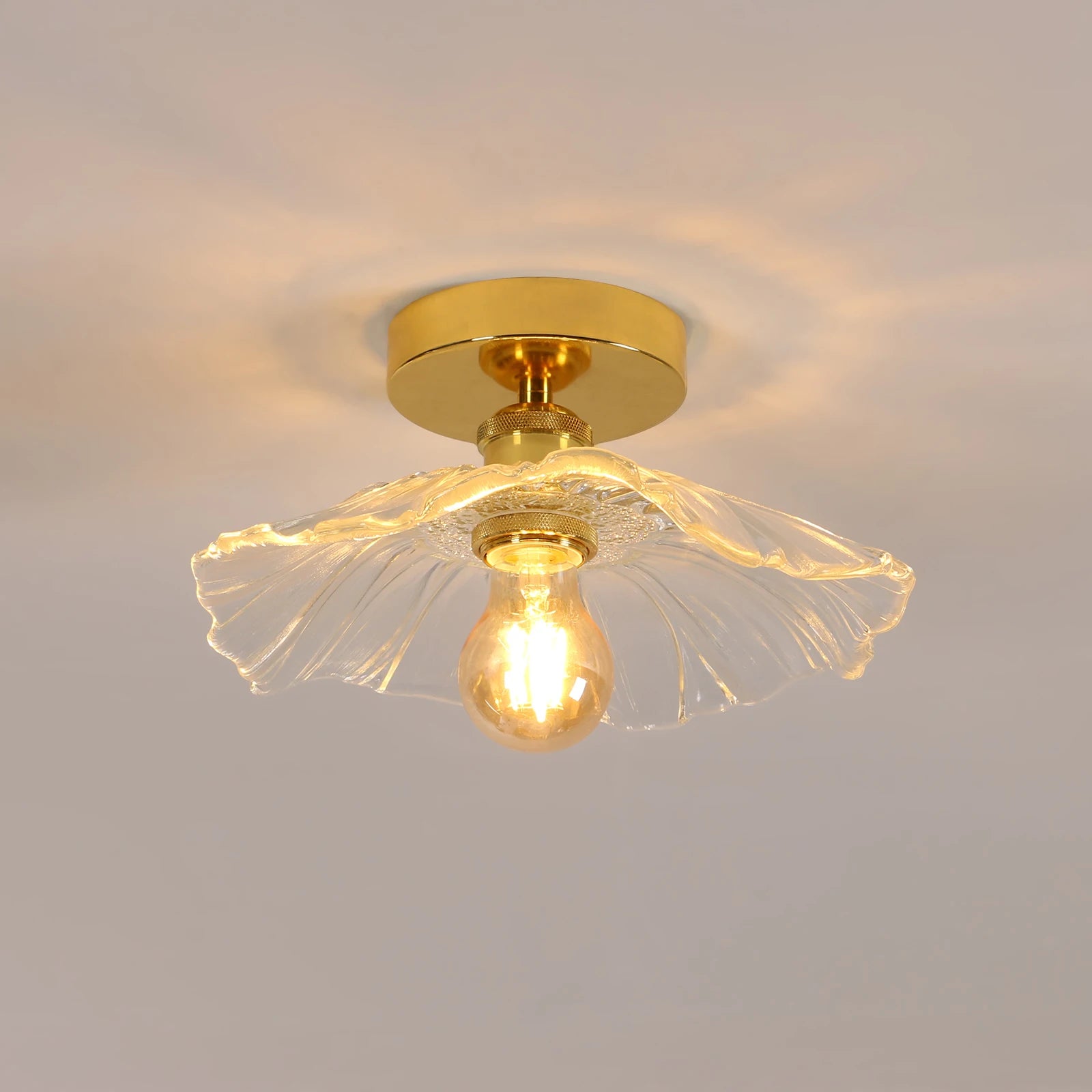 Flush Mount Ceiling Light,Clear Glass Shade Light Fixture,1 Light Lighting Fixture for Bedroom(Bulb Not Included)