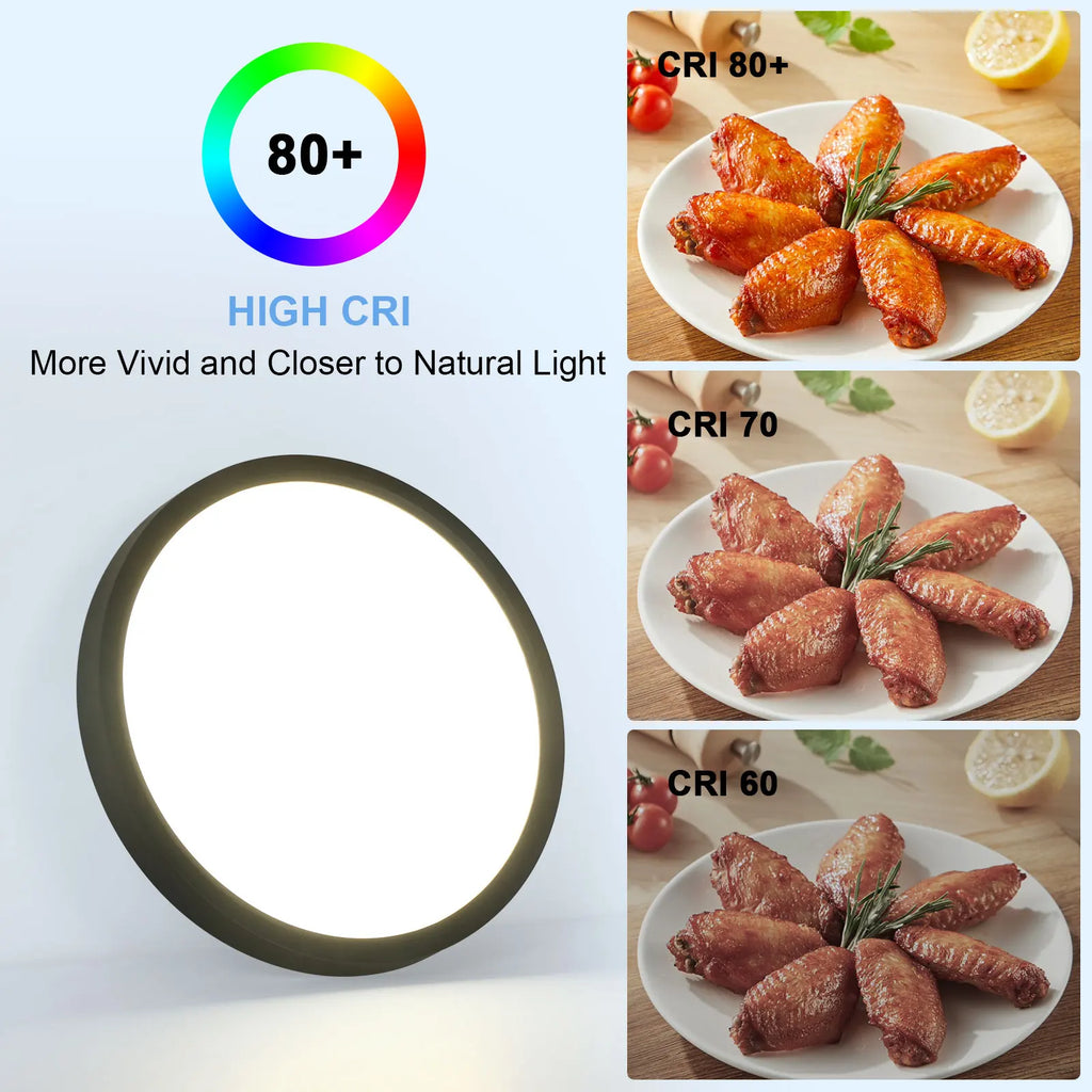 Round Flush Ceiling Light,2cm Ultra-Thin Contemporary 18W Black Hallway Ceiling Light for Balcony,Neutral Light 4500K