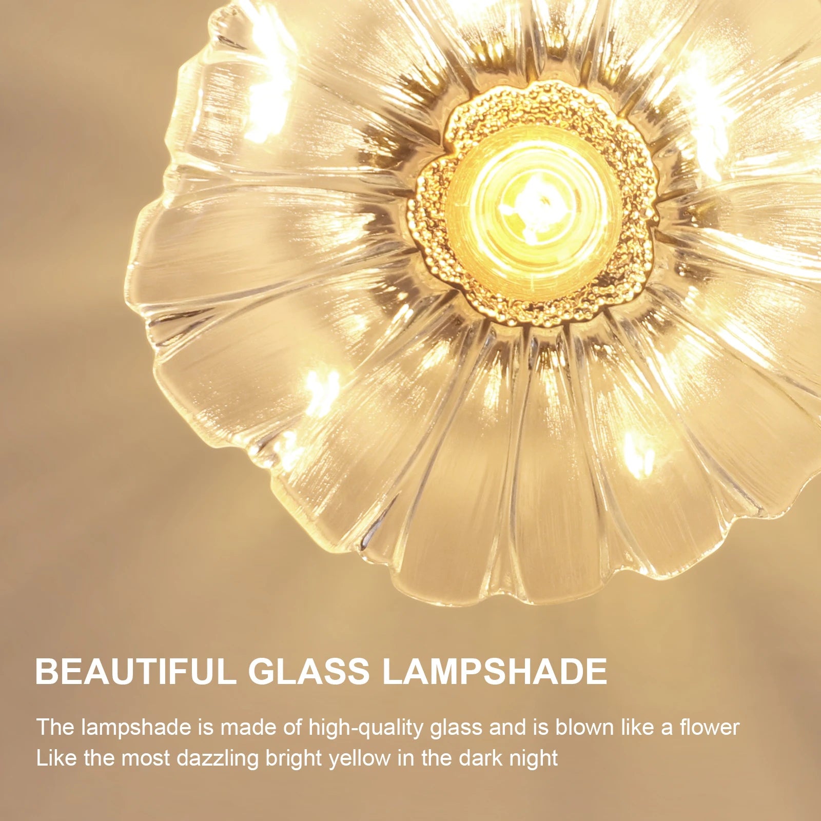 Flush Mount Ceiling Light,Clear Glass Shade Light Fixture,1 Light Lighting Fixture for Bedroom(Bulb Not Included)
