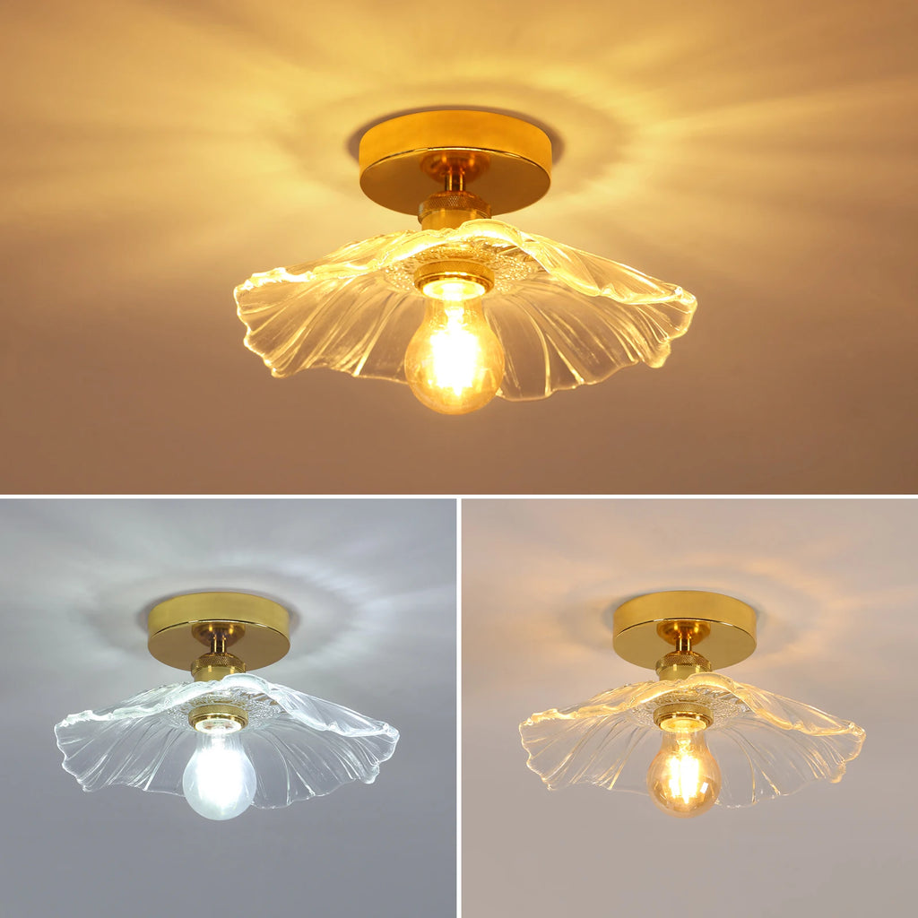 Flush Mount Ceiling Light,Clear Glass Shade Light Fixture,1 Light Lighting Fixture for Bedroom(Bulb Not Included)