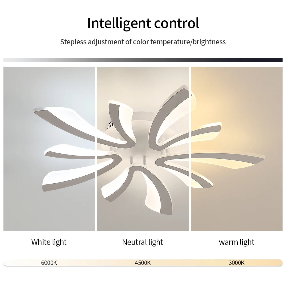 LED Ceiling Lighting, Dimmable Ceiling Light 48W 5400LM Adjustable 3000K-6500K,Acrylic Lighting Fixture with Remote Control for Living Room